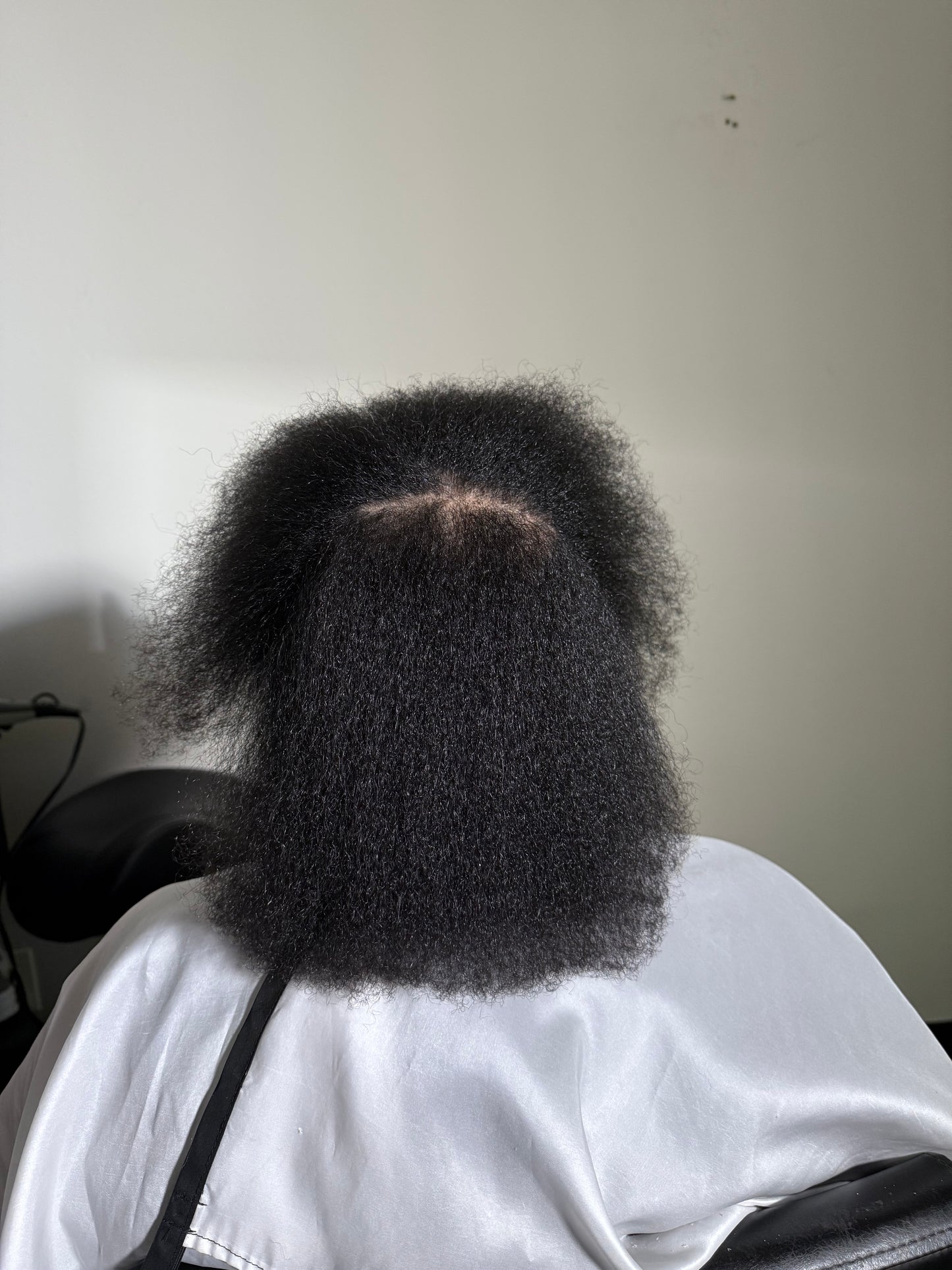 The Scientific Method (Haircare System)